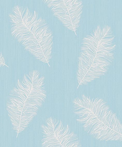 wall