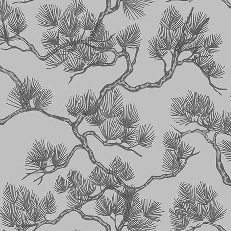 wall