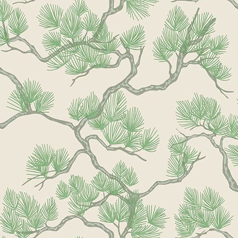 wall