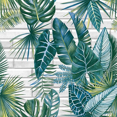 wall