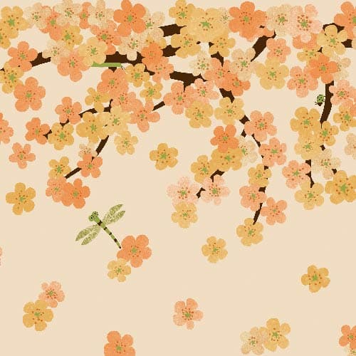 wall