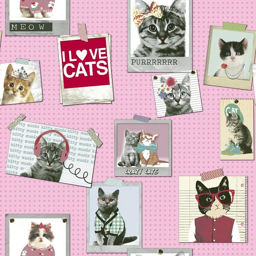 wall