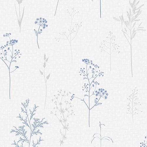 wall