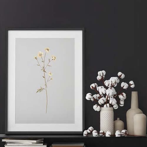 wall